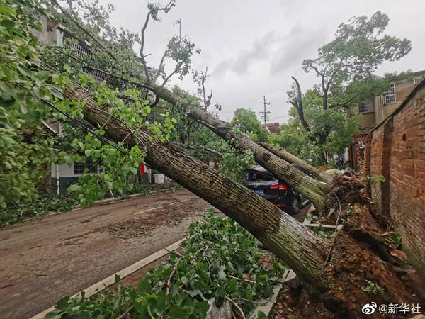 受中低层暖湿急流和地面气旋波共同影响，湖南多地出现大风、冰雹、短时强降水等强对流天气