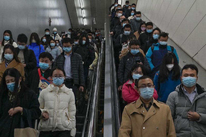 联合国预计，世界人口在2022年11月15日这天达到80亿