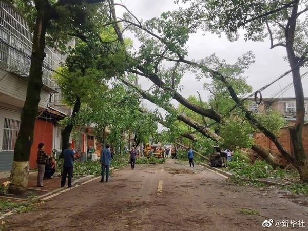 受中低层暖湿急流和地面气旋波共同影响，湖南多地出现大风、冰雹、短时强降水等强对流天气
