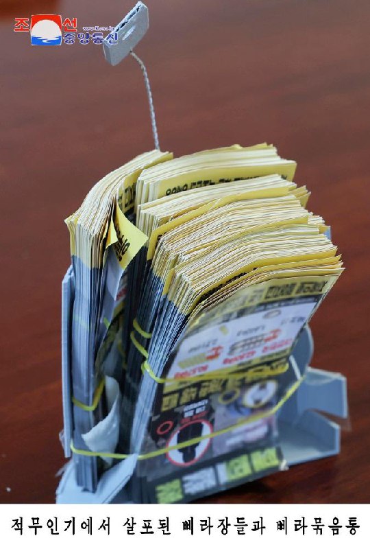 朝鲜劳动党副部长金与正12日发表谈话称，若在平壤上空再次发现无人机将予以报复